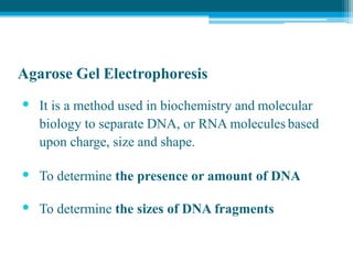 Agarose Gel Electrophoresis
• It is a method used in biochemistry and molecular
biology to separate DNA, or RNA molecules based
upon charge, size and shape.
• To determine the presence or amount of DNA
• To determine the sizes of DNA fragments
 
