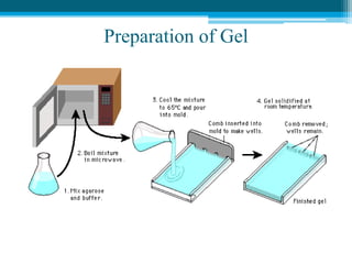 Preparation of Gel
 