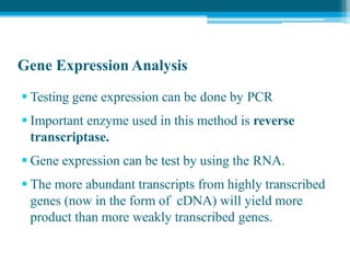 Gene Expression Analysis
 Testing gene expression can be done by PCR
 Important enzyme used in this method is reverse
transcriptase.
 Gene expression can be test by using the RNA.
 The more abundant transcripts from highly transcribed
genes (now in the form of cDNA) will yield more
product than more weakly transcribed genes.
 