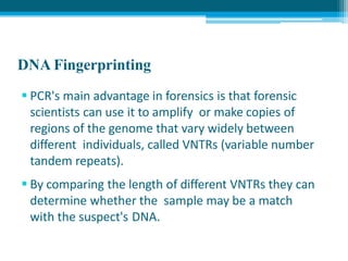 DNA Fingerprinting
 PCR's main advantage in forensics is that forensic
scientists can use it to amplify or make copies of
regions of the genome that vary widely between
different individuals, called VNTRs (variable number
tandem repeats).
 By comparing the length of different VNTRs they can
determine whether the sample may be a match
with the suspect's DNA.
 