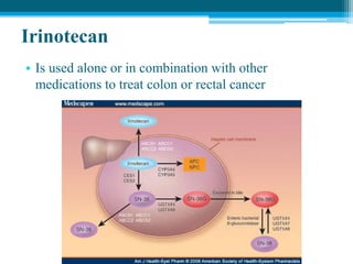 Irinotecan
• Is used alone or in combination with other
medications to treat colon or rectal cancer
 