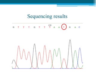 Sequencing results
 