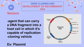 gene cloning powerpoint for general biology 2 | PPTX