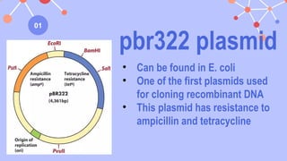 gene cloning powerpoint for general biology 2 | PPTX