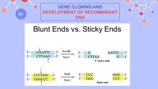 gene cloning powerpoint for general biology 2 | PPTX
