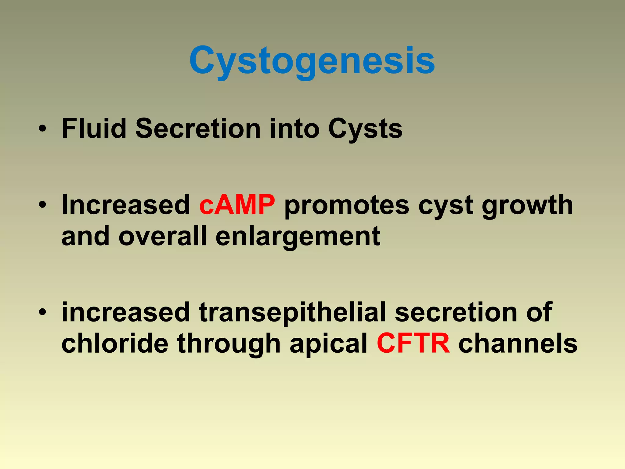 Cystogenesis
• Fluid Secretion into Cysts

• Increased cAMP promotes cyst growth
  and overall enlargement

• increased transepithelial secretion of
  chloride through apical CFTR channels
 