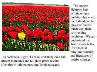 The ancient
Hebrews had
certain unique
qualities that made
them stand out, but
they also shared
much with their
surrounding
neighbors. We can
understand the
Torah much better
if we look at
religious practices
and literatures of
nearby cultures.
In particular, Egypt, Canaan, and Babylonia had
ancient literatures and religious practices that
often throw light on puzzling Torah passages.
 
