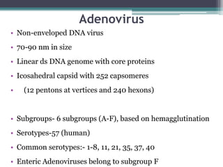 Adenovirus
• Non-enveloped DNA virus
• 70-90 nm in size
• Linear ds DNA genome with core proteins
• Icosahedral capsid with 252 capsomeres
• (12 pentons at vertices and 240 hexons)
• Subgroups- 6 subgroups (A-F), based on hemagglutination
• Serotypes-57 (human)
• Common serotypes:- 1-8, 11, 21, 35, 37, 40
• Enteric Adenoviruses belong to subgroup F
 