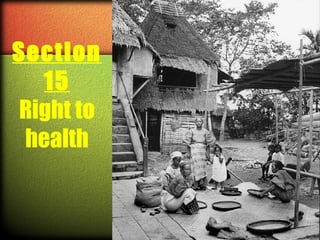 Section
15
Right to
health

 
