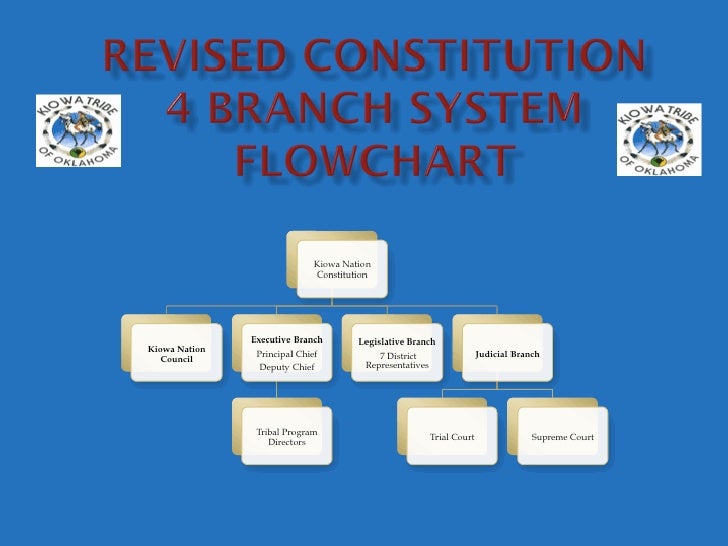 Indian Constitution Flow Chart
