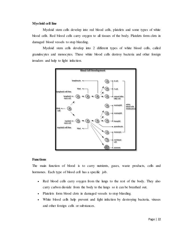 Case study of dengue fever in the philippines image