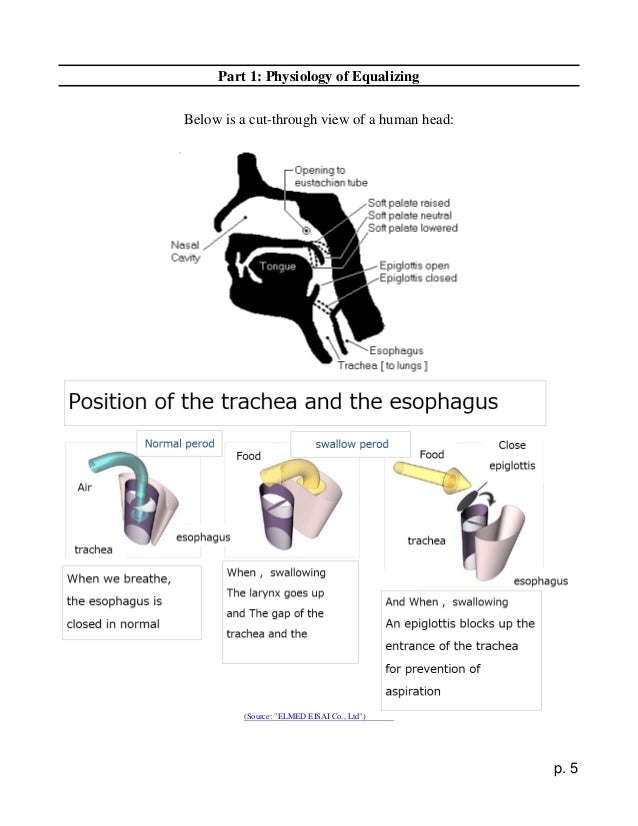 Illustrated Frenzel maneuver How to Equalize Ear Pressure