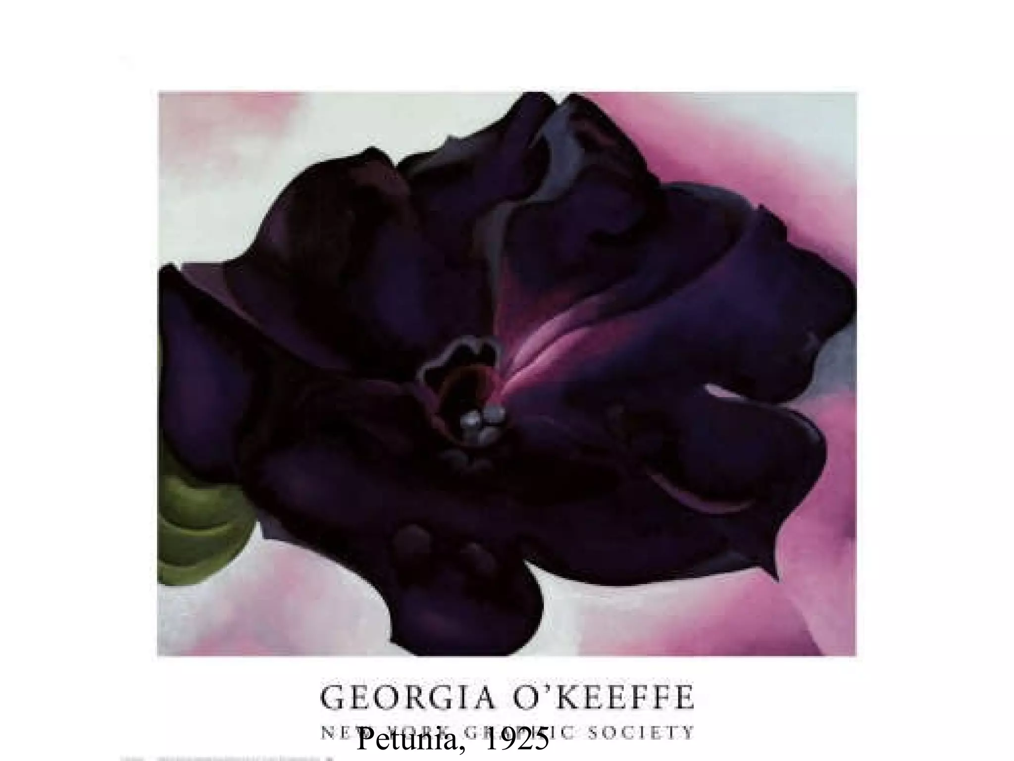 Petunia,  1925 