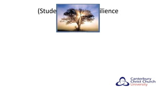 (Student) Teacher resilience
 