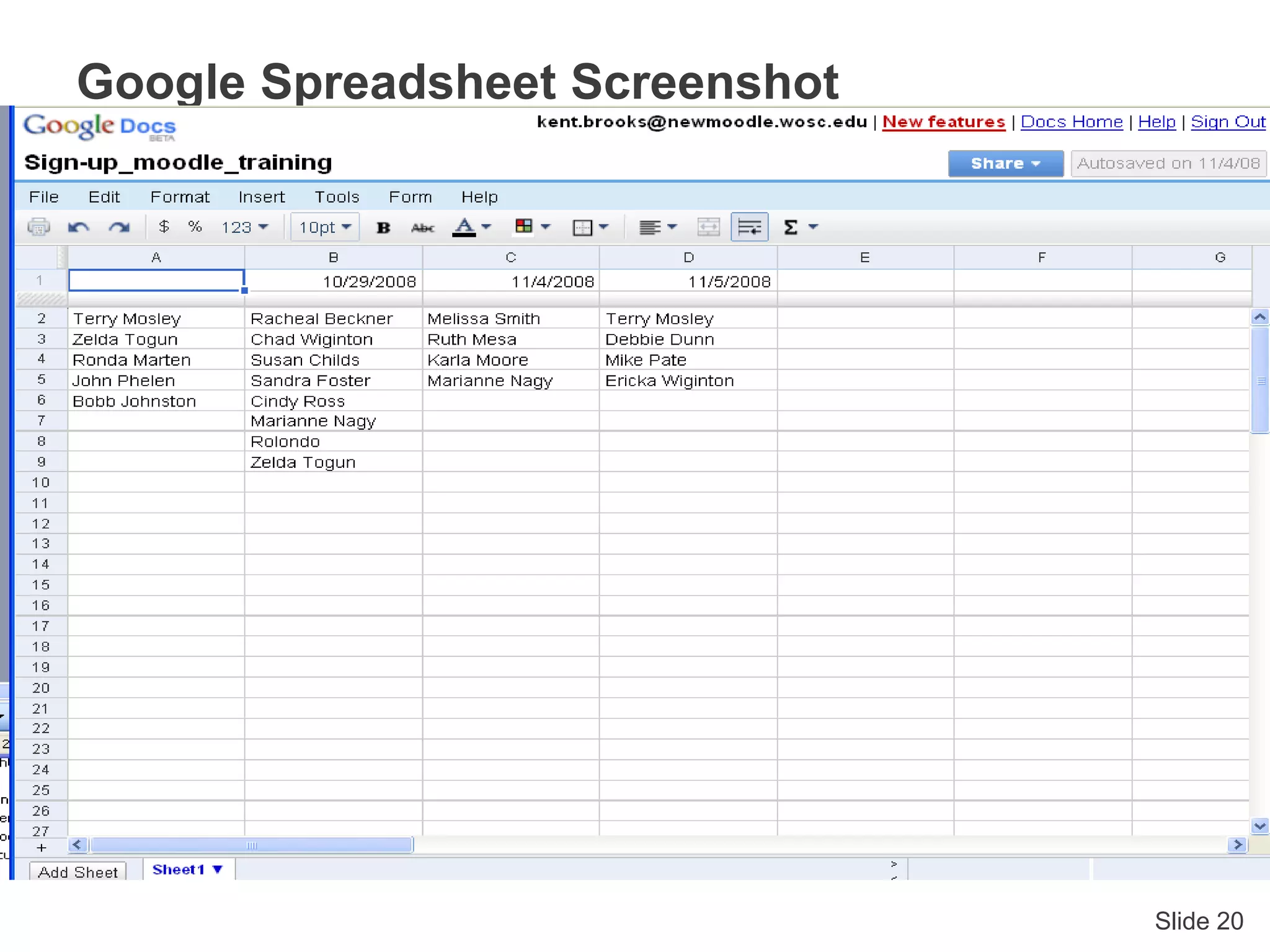 Slide 20
Google Spreadsheet Screenshot
 