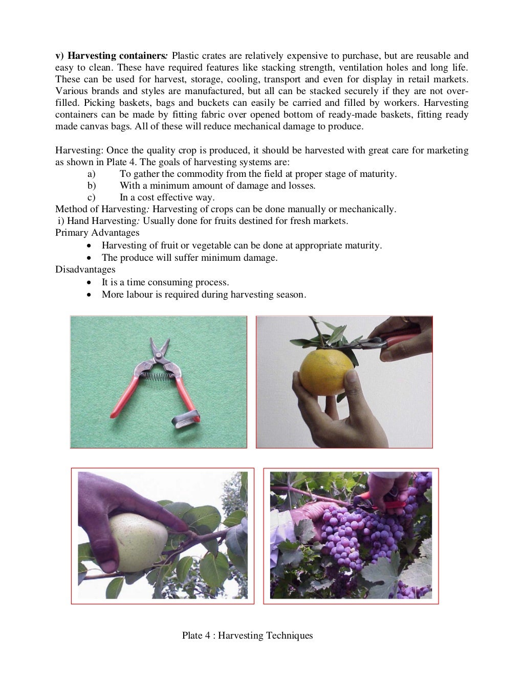 Revised+harvesting,+handling+and+storage