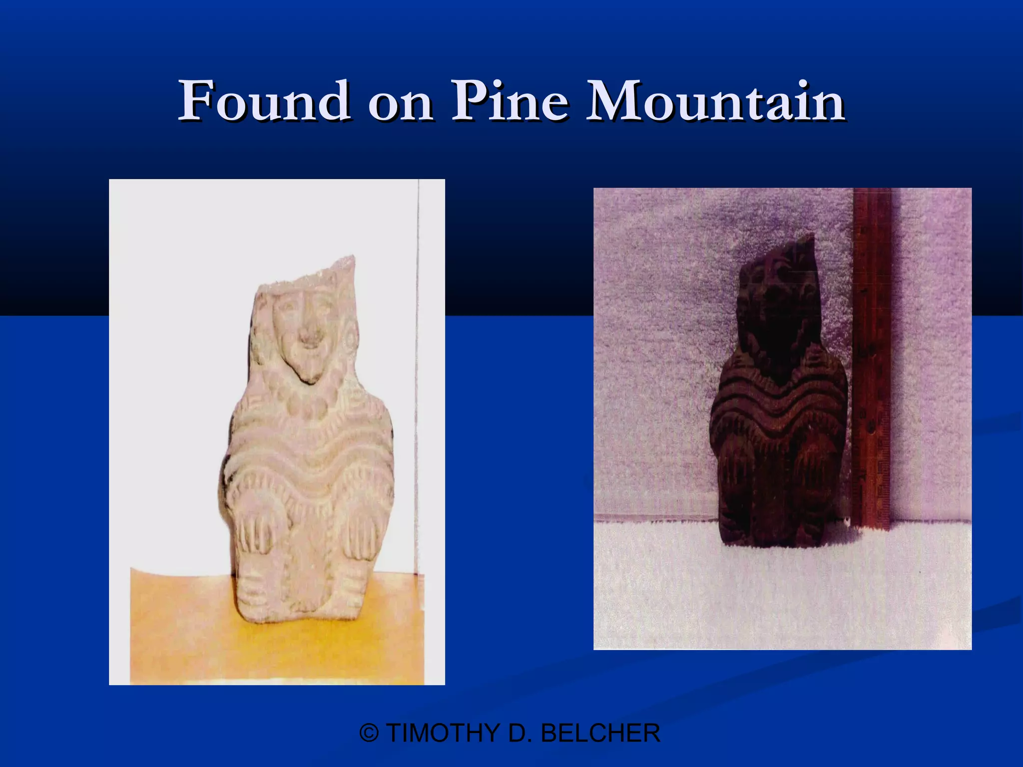 Found on Pine Mountain




     © TIMOTHY D. BELCHER
 