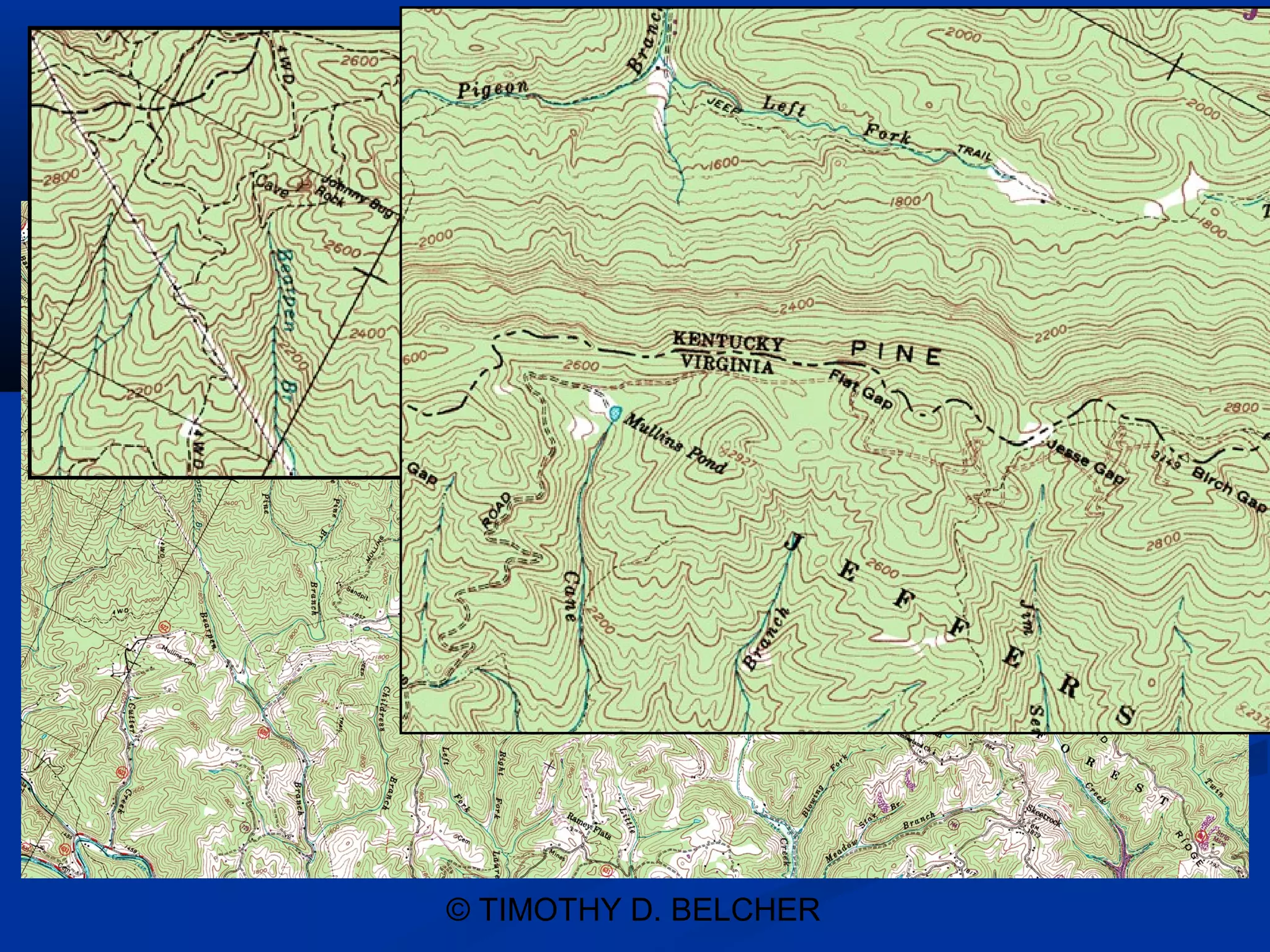 © TIMOTHY D. BELCHER
 