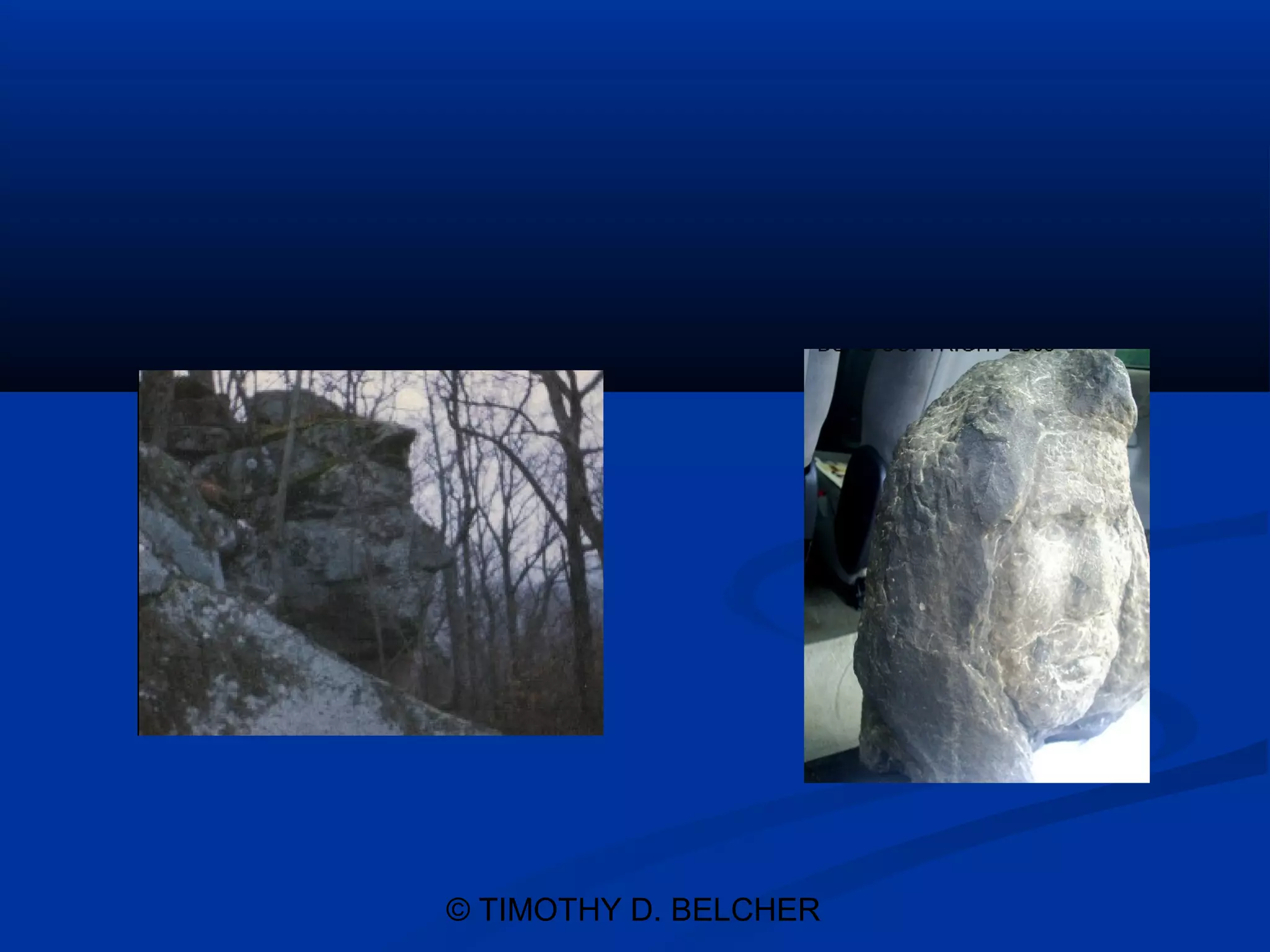 © TIMOTHY D. BELCHER
 