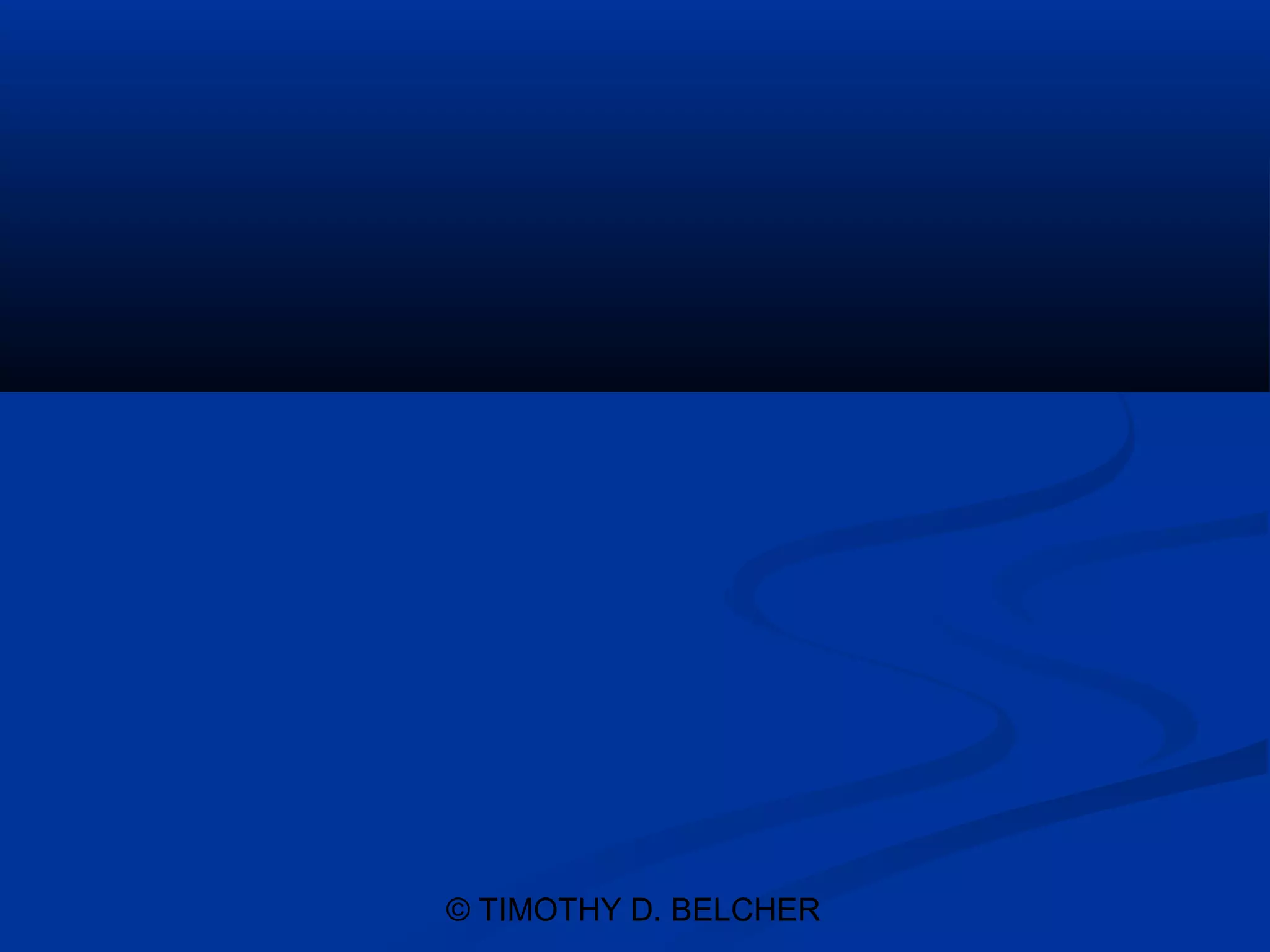 © TIMOTHY D. BELCHER
 