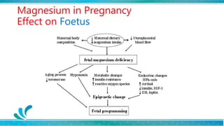 Role of Magnesium in Pregnancy Dr Dipti Nabh Dr Sharda Jain Dr Jyoti ...