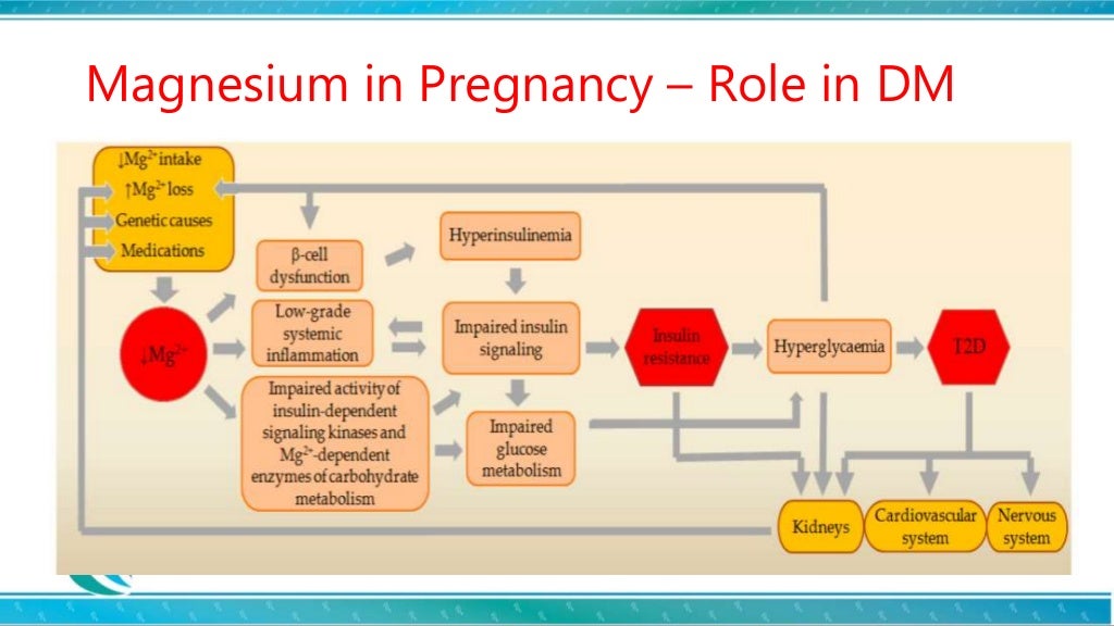 Role of Magnesium in Pregnancy Dr Dipti Nabh Dr Sharda Jain Dr Jyoti…