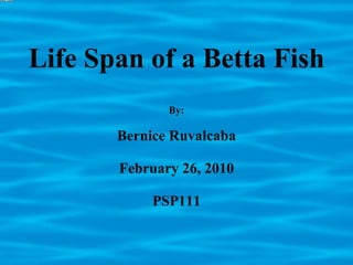 Life Span of a Betta Fish By: Bernice Ruvalcaba February 26, 2010 PSP111 
