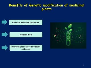 Revised PPT on Application of Genetics in Medicinal Plants... (1).pdf