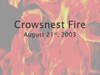 Crowsnest FireAugust 21st, 2003 