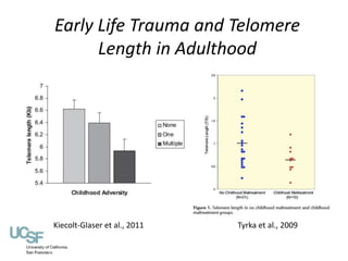 Early Life Trauma and Telomere 
Length in Adulthood 
Kiecolt-Glaser et al., 2011 Tyrka et al., 2009 
 