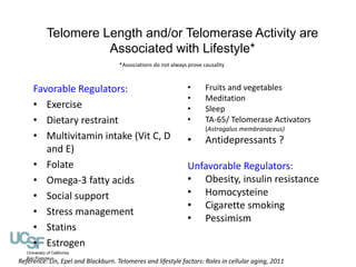 Telomere Length and/or Telomerase Activity are 
Associated with Lifestyle* 
*Associations do not always prove causality 
F...