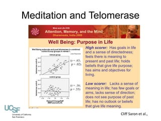 Meditation and Telomerase 
Cliff Saron et al., 
 