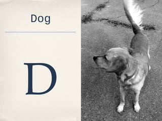 Dog

D

 