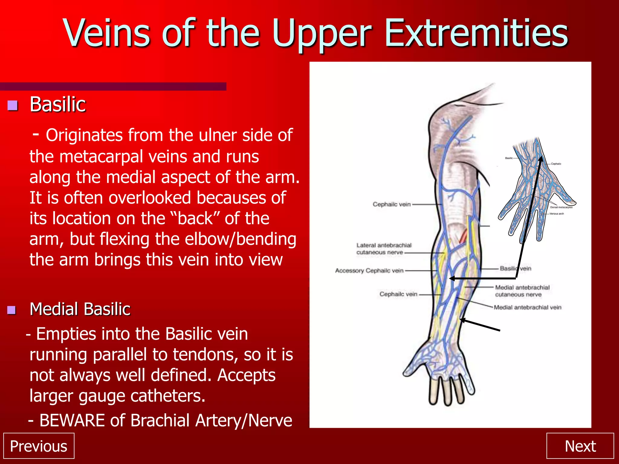 Previous Next
Veins of the Upper Extremities
 Basilic
- Originates from the ulner side of
the metacarpal veins and runs
along the medial aspect of the arm.
It is often overlooked becauses of
its location on the “back” of the
arm, but flexing the elbow/bending
the arm brings this vein into view
 Medial Basilic
- Empties into the Basilic vein
running parallel to tendons, so it is
not always well defined. Accepts
larger gauge catheters.
- BEWARE of Brachial Artery/Nerve
 
