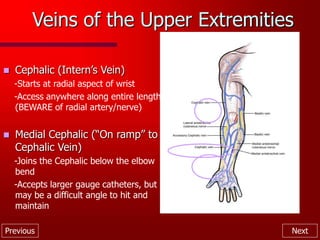 Previous Next
Veins of the Upper Extremities
 Cephalic (Intern’s Vein)
-Starts at radial aspect of wrist
-Access anywhere along entire length
(BEWARE of radial artery/nerve)
 Medial Cephalic (“On ramp” to
Cephalic Vein)
-Joins the Cephalic below the elbow
bend
-Accepts larger gauge catheters, but
may be a difficult angle to hit and
maintain
 