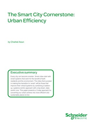 The Smart City Cornerstone:
Urban Efficiency
Executive summary
Every city can become smarter. Smart cities start with
smart systems that work for the benefit of both
residents and the environment. The cities that succeed
in making the transition to ‘smart’ will be those that
improve their critical systems by combining a bottom-
up, systems-centric approach with a top-down, data-
centric one. This paper presents a 5-step approach for
converting our urban centres into more efficient and
sustainable places to live.
by Charbel Aoun
 