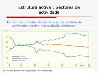 Estrutura activa : Sectores de actividade Em termos profissionais distribui-se por sectores de actividade que têm tido evolução diferentes  