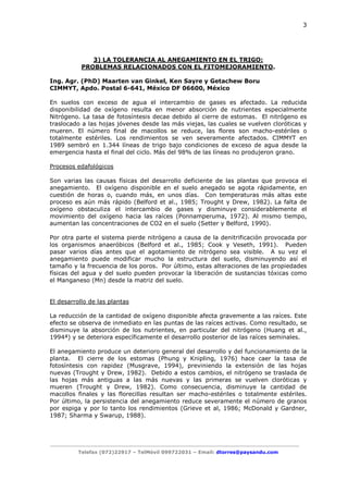 3

3) LA TOLERANCIA AL ANEGAMIENTO EN EL TRIGO:
PROBLEMAS RELACIONADOS CON EL FITOMEJORAMIENTO.
Ing. Agr. (PhD) Maarten van Ginkel, Ken Sayre y Getachew Boru
CIMMYT, Apdo. Postal 6-641, México DF 06600, México
En suelos con exceso de agua el intercambio de gases es afectado. La reducida
disponibilidad de oxígeno resulta en menor absorción de nutrientes especialmente
Nitrógeno. La tasa de fotosíntesis decae debido al cierre de estomas. El nitrógeno es
traslocado a las hojas jóvenes desde las más viejas, las cuales se vuelven cloróticas y
mueren. El número final de macollos se reduce, las flores son macho-estériles o
totalmente estériles. Los rendimientos se ven severamente afectados. CIMMYT en
1989 sembró en 1.344 líneas de trigo bajo condiciones de exceso de agua desde la
emergencia hasta el final del ciclo. Más del 98% de las líneas no produjeron grano.
Procesos edafológicos
Son varias las causas físicas del desarrollo deficiente de las plantas que provoca el
anegamiento. El oxígeno disponible en el suelo anegado se agota rápidamente, en
cuestión de horas o, cuando más, en unos días. Con temperaturas más altas este
proceso es aún más rápido (Belford et al., 1985; Trought y Drew, 1982). La falta de
oxígeno obstaculiza el intercambio de gases y disminuye considerablemente el
movimiento del oxígeno hacia las raíces (Ponnamperuma, 1972). Al mismo tiempo,
aumentan las concentraciones de CO2 en el suelo (Setter y Belford, 1990).
Por otra parte el sistema pierde nitrógeno a causa de la denitrificación provocada por
los organismos anaeróbicos (Belford et al., 1985; Cook y Veseth, 1991). Pueden
pasar varios días antes que el agotamiento de nitrógeno sea visible. A su vez el
anegamiento puede modificar mucho la estructura del suelo, disminuyendo así el
tamaño y la frecuencia de los poros. Por último, estas alteraciones de las propiedades
físicas del agua y del suelo pueden provocar la liberación de sustancias tóxicas como
el Manganeso (Mn) desde la matriz del suelo.

El desarrollo de las plantas
La reducción de la cantidad de oxígeno disponible afecta gravemente a las raíces. Este
efecto se observa de inmediato en las puntas de las raíces activas. Como resultado, se
disminuye la absorción de los nutrientes, en particular del nitrógeno (Huang et al.,
1994ª) y se deteriora específicamente el desarrollo posterior de las raíces seminales.
El anegamiento produce un deterioro general del desarrollo y del funcionamiento de la
planta. El cierre de los estomas (Phung y Knipling, 1976) hace caer la tasa de
fotosíntesis con rapidez (Musgrave, 1994), previniendo la extensión de las hojas
nuevas (Trought y Drew, 1982). Debido a estos cambios, el nitrógeno se traslada de
las hojas más antiguas a las más nuevas y las primeras se vuelven cloróticas y
mueren (Trought y Drew, 1982). Como consecuencia, disminuye la cantidad de
macollos finales y las florecillas resultan ser macho-estériles o totalmente estériles.
Por último, la persistencia del anegamiento reduce severamente el número de granos
por espiga y por lo tanto los rendimientos (Grieve et al, 1986; McDonald y Gardner,
1987; Sharma y Swarup, 1988).

Telefax (072)22917 – TelMóvil 099722031 – Email: dtorres@paysandu.com

 