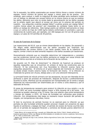 4

Por lo expuesto, los daños ocasionados por exceso hídrico llevan a menor número de
espigas, menor número de granos por espiga y menor peso de los granos. Sin
embargo, para evaluar o medir la magnitud de estas pérdidas sería necesario contar
con un testigo no afectado por exceso hídrico en la misma chacra en que se evalúan
los daños, elemento que creo no existe dada la generalización de los daños causada
por la amplia región que abarcó el exceso así como por lo extenso del período en
cuestión. Las preguntas ¿cuántas espigas faltan? ¿cuántos granos por espiga faltan?
¿cuánto menos pesan los granos? son imposibles de contestar hasta tanto no se
defina un testigo de referencia. Este testigo podría ser definido teóricamente en base
a que un cultivo de trigo de 3.600 kg/ha estaría conformado en promedio y para las
condiciones de nuestro país, por ejemplo, con 300 espigas por m2 con 40 granos cada
espiga y un peso de mil semillas de 30 gramos.

El caso de Fusariosis de la Espiga
Las inspecciones del B.S.E. que se vienen desarrollando en los deptos. De paysandú y
Río Negro están determinando que los daños causados por fusariosis son
independientes del exceso hídrico y por tanto quedan fuera de la cobertura del
seguro; similar criterio se está tomando respecto a los daños causados por bacteriosis.
Personalmente entiendo que es imposible determinar tal independencia y considero
que las evidencias marcan que los daños sanitarios en espiga son causa directa del
exceso hídrico ocurrido en el entorno de la floración de los cultivos.
De acuerdo con M. Díaz de Ackermann1 la infección de fusarium se produce en
aquellas espiguillas que se encuentran en antesis al darse las condiciones para la
infección. Si las condiciones son muy favorables la infección avanza hacia las
espiguillas adyacentes. El síntoma en el grano depende del momento de infección y
va desde simple micelio externo hasta no formación del mismo. Si la infección es
moderada los granos son chuzos, debajo peso y con una coloración blanquecina.
La principal fuente de inóculo primario son las ascosporas, las que son liberadas de los
peritecios a partir de procesos de hidratación, después de lluvias y preferentemente
durante la noche. Mientras que las ascosporas son transportadas por el viento a largas
distancias los macroconidios son diseminados por el viento a corta distancia y por el
salpicado de lluvias.
El rango de temperaturas necesario para producir la infección es muy amplio y va de
10ºC a 30ºC así como humedad relativa mayor a 95% durante 40 a 60 horas. Los
síntomas se pueden observar a las 72 horas. Hay una relación clara entre temperatura
y tiempo de mojado; a 25ºC, 18 horas de humedad son suficientes para producir
infección. Con temperaturas más bajas es necesario mayor duración del período de
mojado, con temperaturas más altas, menor.
Si bien la ocurrencia de período lluvioso no es esencial para la infección ya que
períodos de alta humedad ambiente pueden provocar mojado con presencia de agua
líquida en peritecios y espigas de trigo2, el período de exceso de lluvias ocurrido este
año en el período de espigazón-floración y comienzo de llenado granos determinó el
1

Golpe Blanco de la espiga del trigo, causado por Gibberella zeae (Schw.) Petch. Estado perfecto de
Fusarium graminearum Schw. In: Manejo de Enfermedades en cereales de invierno y pasturas. Serie técnica
Nº 74. INIA La Estanzuela. Junio 1996.
2
Metha, Y.R. Doenças do trigo e seu controle. Editora Agronómica Ceres Ltda. Summa Phytopathologica.
IAPAR. 1978.

Telefax (072)22917 – TelMóvil 099722031 – Email: dtorres@paysandu.com

 