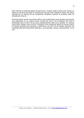 6

Este informe no pretende agotar las opiniones y revisión sobre el tema sino realizar un
aporte en términos de llegar a conclusiones que permitan establecer desde una óptica
agronómica los efectos de las condiciones climáticas durante la presente zefra de
cereales de invierno.
Particularmente resulta importante definir esta problemática para aquellos agricultores
que amparados en un seguro contra “Exceso de Lluvia” se encuentran hoy ante la
posibilidad que el mismo no les cubra absolutamente nada de su pérdida, en muchos
casos total, debido a que el B.S.E. considera como problemas ajenos al exceso hídrico
los daños causados por fusariosis y bacteriosis, así como no se pueden visualizar los
compoenentes del rendimiento faltantes y ya discutidos, porque, precisamente, no se
ven.

Telefax (072)22917 – TelMóvil 099722031 – Email: dtorres@paysandu.com

 