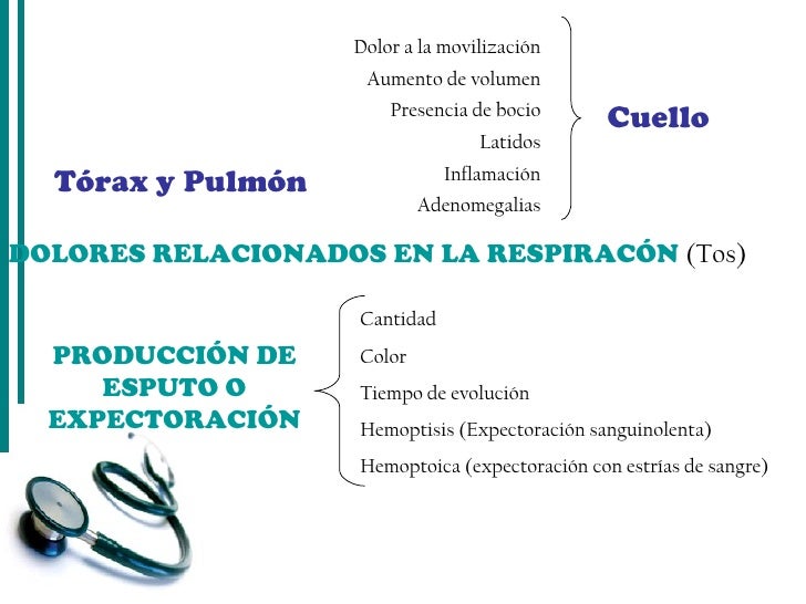 Revisión por aparatos y sistemas