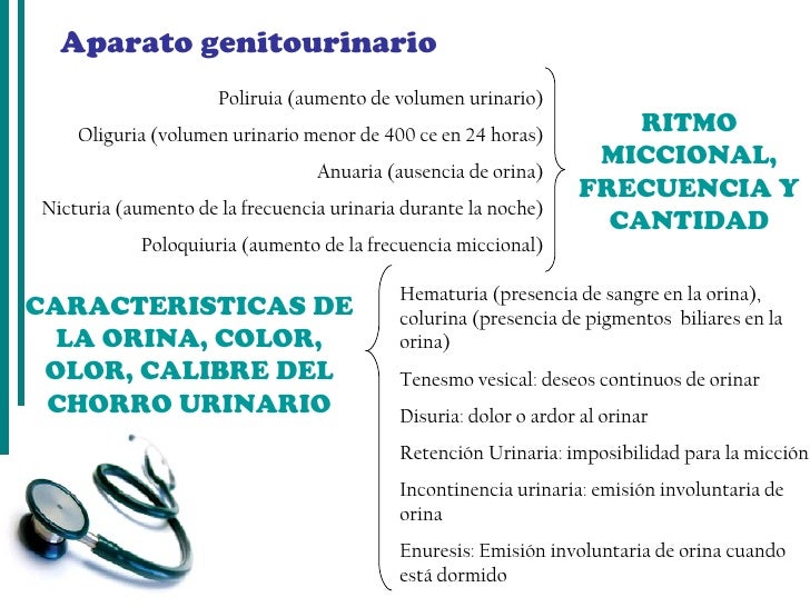 Revisión por aparatos y sistemas