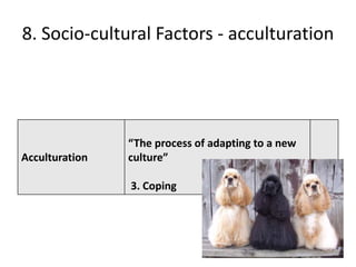 8. Socio-cultural Factors - acculturation




                “The process of adapting to a new
Acculturation   culture”

                3. Coping
 
