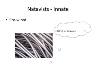 Natavists - Innate
• Pre-wired

                          Wired for language
 