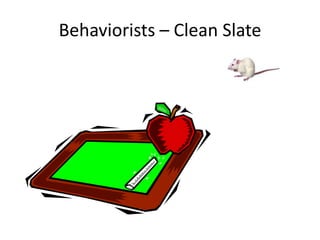 Behaviorists – Clean Slate
 