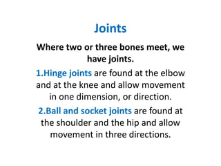 Joints
Where two or three bones meet, we
             have joints.
1.Hinge joints are found at the elbow
and at the knee and allow movement
   in one dimension, or direction.
2.Ball and socket joints are found at
 the shoulder and the hip and allow
   movement in three directions.
 