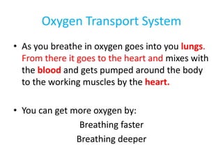 Oxygen Transport System
• As you breathe in oxygen goes into you lungs.
  From there it goes to the heart and mixes with
  the blood and gets pumped around the body
  to the working muscles by the heart.

• You can get more oxygen by:
                Breathing faster
               Breathing deeper
 