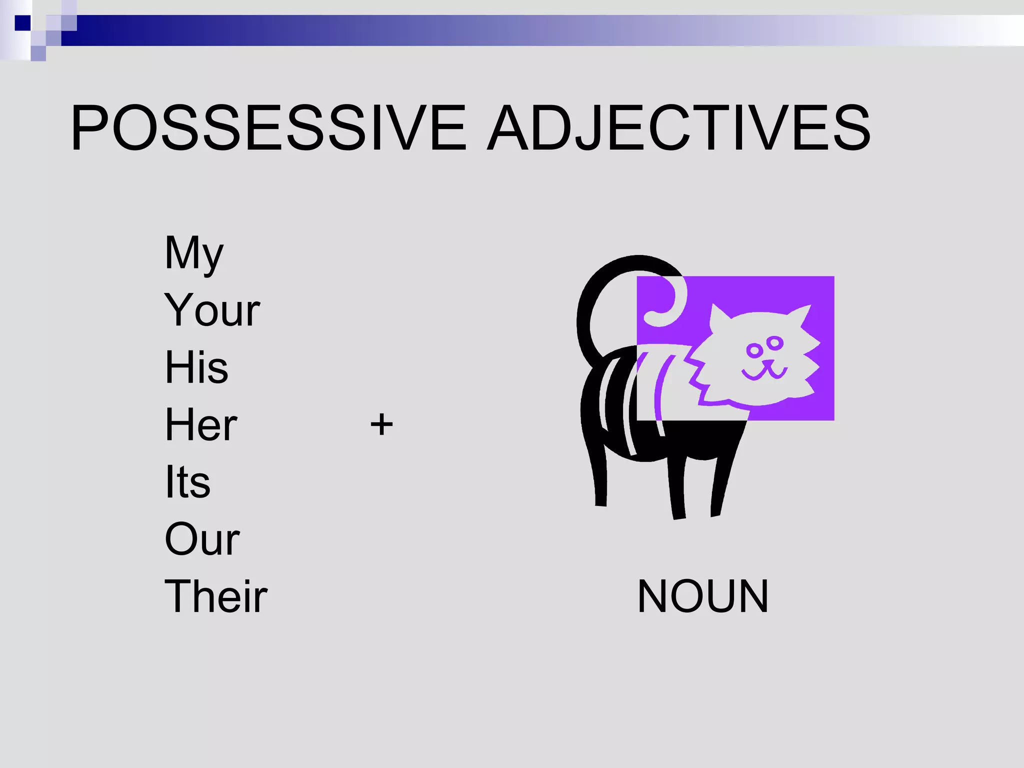 POSSESSIVE ADJECTIVES My Your His Her + Its Our Their   NOUN 