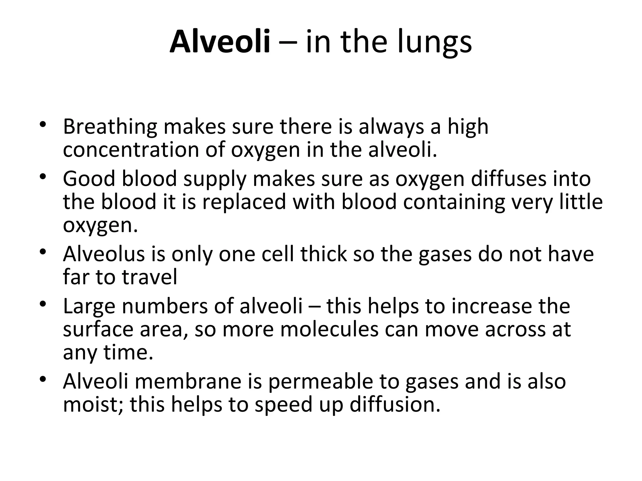 Alveoli  – in the lungs Breathing makes sure there is always a high concentration of oxygen in the alveoli. Good blood supply makes sure as oxygen diffuses into the blood it is replaced with blood containing very little oxygen. Alveolus is only one cell thick so the gases do not have far to travel Large numbers of alveoli – this helps to increase the surface area, so more molecules can move across at any time. Alveoli membrane is permeable to gases and is also moist; this helps to speed up diffusion. 