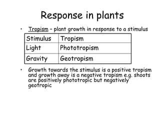 Response in plants  Tropism  – plant growth in response to a stimulus Growth towards the stimulus is a positive tropism and growth away is a negative tropism e.g. shoots are positively phototropic but negatively geotropic Stimulus Tropism Light Phototropism Gravity Geotropism 